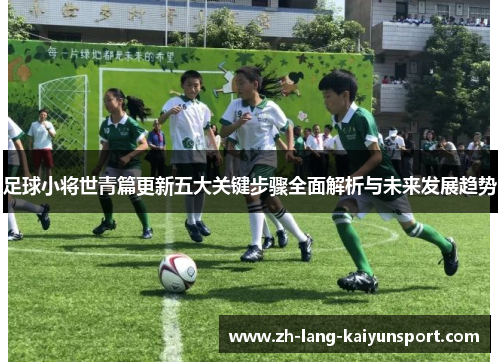 足球小将世青篇更新五大关键步骤全面解析与未来发展趋势