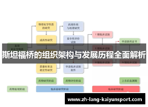 斯坦福桥的组织架构与发展历程全面解析 斯坦福桥的组织架构与发展历程全面解析