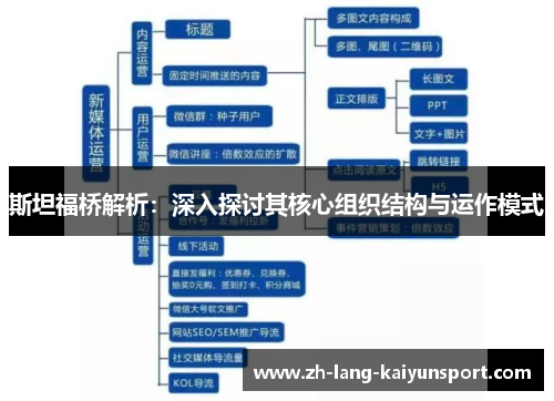 斯坦福桥解析:深入探讨其核心组织结构与运作模式 斯坦福桥解析:深入探讨其核心组织结构与运作模式