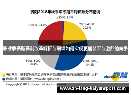 职业联赛新赛制改革解析与展望如何实现更加公平与激烈的竞争