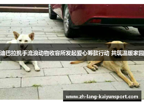 迪巴拉携手流浪动物收容所发起爱心筹款行动 共筑温暖家园 迪巴拉携手流浪动物收容所发起爱心筹款行动 共筑温暖家园