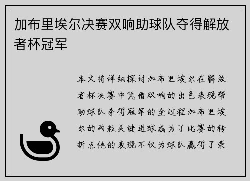 加布里埃尔决赛双响助球队夺得解放者杯冠军